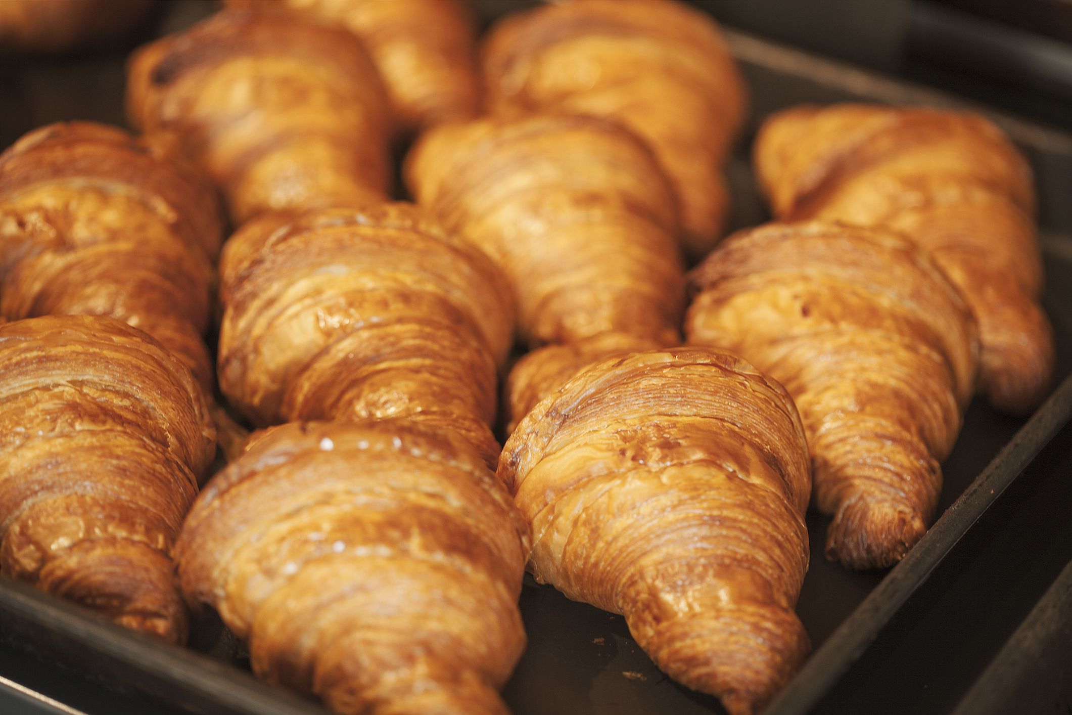 Rows of golden brown croissants on a baking sheet